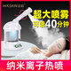 Golden Rice Hot Spray Facial Steamer Nano Ion Spray Hydrating Device Facial Steamer Beauty Instrument Facial Steamer Home Open Pore Cleaning and Hydrating Device Hot Spray Model Classic Version - Large Capacity\Large Spray