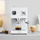 Petrus PE3888 Máquina de café italiano de doble caldera para el hogar Semiautomático Small All-in-One Machine Milk Sokeing Ice Americano