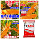 2025 national-approved corn seeds with stable yield, short stems, large stems, disease resistance, insect resistance, lodging resistance, mature live stems, abundant land and affordable, 22,000 grains in 5 acres of land, large growers