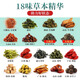 
Sanjiang Tea Guangyuelou Hanfangshen Sancha Corn Shaved Mulberry Leaf Tea Dandelion Green Money Willow Gypsum Blue Robu Maple Guangyuelou Yiwei Tea 2 boxes 600g 60 small bags