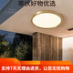全铜户外吸顶灯别墅大门口门前灯室外过道阳台灯防蚊虫庭 X3893-500/方形