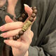 Bracelet perlé de bois de santal vert en bois de santal en bois vert pour hommes et femmes perles bouddhistes littéraires pour hommes et femmes style chinois de style ancien