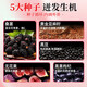 内廷上用北京同仁堂亚麻籽无花果茶黄体酮养雌茶黑枸杞桑葚养生泡水茶包 2盒装【黄体酮养雌茶】