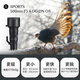 SIGMA 500mm F5.6 DG DN OS Sports full-frame super telephoto fixed focus lens for bird shooting and lotus shooting (Sony mount)