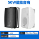 先科（SAST）DW50壁挂音箱喇叭 50W无源需连功放机音响店铺商用工程会议室家用餐厅公共广播背景音乐 5英寸