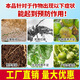 3480 people in Shanye praised Xiaohuanniu mineral potassium fulvic acid and humic acid water-soluble fertilizer for rooting and fruit expansion. Black gold 20 points, 1 kilogram, 1 barrel arrived in town.