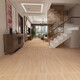 Marco Polo -Creme -Stil 600x1200 Holz Getreide Keramikfliesen Imitation Wohnzimmer Schlafzimmer Holzbodenfliesen Bodenfliesen Großes Brett 12605 600 mm1200mmmm