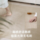 极有梦客厅地毯2025新款夏季轻奢感冰丝凉席榻榻米地垫房间免洗可擦 宜沐-15780 150*200cm【防刮耐磨】
