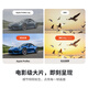 影石（Insta360）【国家补贴】【影视飓风推荐】Flow 2 Pro 手机稳定器手持云台三轴增稳vlog （遐想灰 标准套装）