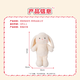 名创优品（MINISO）塔妮兔乖乖坐姿公仔毛绒玩具玩偶抱枕娃娃送女友告白生日礼物女