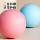 
Langwei Yoga Ball Fitness Ball Thickened Explosion-proof Adult Pregnant Midwifery Balanced Sports Anti-Slip Massage Ball Strong Elastic and Anti-Compression Hibiscus Purple [Thickened riot] 65cm (Height 160-165cm)