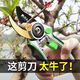 Mu Yunyao Japanese Seiko gardening scissors garden pruning shears fruit tree pruning labor-saving powerful large pruning pruning scissors artifact flagship model 6th generation imported SK5 steel waist box