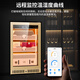 CIGARLOONG 118C cigar cabinet, precise constant temperature and humidity, natural cedar wood, cholesterol-rich water, ionized ammonia removal cigar cabinet, smart WiFi controlled cigar humidifier, air-cooled compressor cabinet, rose gold, purified ammonia + WiFi + cedar wood shelf