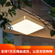 Clcey Full Copper Outdoor Heallive Light Villa Входная дверь Легкая коридор проход Балконы Свет Терраса Москвита-натяжение двор x3893-400*600/прямоугольный