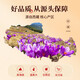 Tongrentang Saffron Tibetan Special Pired Practical Gift для старейшин и родителей лечить китайские лекарственные материалы.