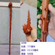 Guizhou Mengzi Sticks en bois rond Sticks civilisés Civilized Wood Mahogany Embrutes de vieil homme aidant les bâtons de randonnée Sticks en bois massif 759