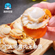 Seafood Family frozen large yellow Bohai scallop meat 450g 35-45 pieces skirt scallop instant dish fresh seafood