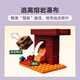 乐高我的世界系列 儿童积木拼装积木玩具 男孩女孩2025年新款生日礼物 21266 下界熔岩湖之战