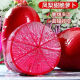 
[3341 pieces in 30 days] Pineapple fruit radish seeds raw Purple beauty radish Rouge radish seeds Summer four Premium original [1098 pieces] Five packs Fruit-type pineapple radish seeds (new seeds this year)