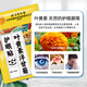 Tongrentang Beijing Tongrentang Lutein Protección del ojo Patch Fatiga Ojo Ojos secos Ojos astringentes Visión desenfoque 50 pares de parche de compresión fría para adultos para niños