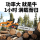 Wuyang Honda imported technology lithium TV series rechargeable high-power electric chain saw small multi-functional chainsaw imported industrial imported industrial model 16 inches one battery + one chain