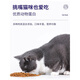 Bijingxue BSOW Bijingxue freeze-dried cat food for adult cats and kittens, full-price fresh meat three-part nutritional food for small dogs Bijingxue full-price freeze-dried three-part cat food, trial pack 50g*2 bags