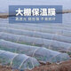 Runhuanian white transparent agricultural thickened small shed special film vegetable field insulation film winter 2 meters wide 4 wires thick agricultural small shed film 5 meters long