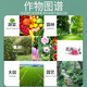 Xiannong 20% benzyl prochloraz, wolfberry fruit tree, vegetable, flower leaf spot anthracnose special pesticide broad-spectrum fungicide