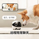
Enable whole house mobile walking camera ebo companion robot remote remote control wireless surveillance camera rola mini pet companion toy robot ROLA Mini-32G (can be stored for 2-3 days)