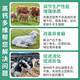 Cattle and sheep high calcium multi-dimensional veterinary feed chickens calcium supplement duck and goose high calcium shell powder feed additive for poultry and pigs Cattle and sheep high calcium multi-dimensional 2 bags/1kg