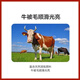 5% Cow Premix Dabeinong Core Technology Estrus Breeding Nutritional Lactation Prevention Postpartum Paralysis Buy 10 Get 1 Free Get 11 Packs