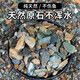 Natural original ecological stream stone bottom sand fish tank special filter paving ornaments volcanic stone landscaping main stone pebbles 20Jin Jin equal to 0.5kg packed natural stream stone (6-12mm)