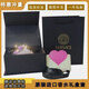 2025 High-End Versace Perfume Gift Bag Human Head Gift Empty Box Hand-Packed Ribbon Bow Black Bag Colored Perfume Gift Box 5-piece Set Black Raffia