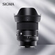 SIGMA Art 24mm F1.4 DG DN full-frame mirrorless large-aperture wide-angle fixed-focus lens scenery and starry sky and night scene (L mount)