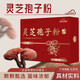 Huasetang Changbaishantou Road Pure Ganoderma Spore Ganoderma Spore Powder 2g*15 bags 1 box 15 bags