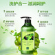 
Xianweina Olive Anti-dandruff Baking Oil Shampoo 750ml Hair Smooth and Soothing Freckle Shampoo