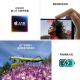 Apple/苹果 iPhone 16 Plus（A3291）128GB 群青色 支持移动联通电信5G 