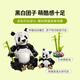 【准新品】乐高（LEGO）积木拼装31165 野生动物熊猫家族男孩女孩儿童玩具新年礼物