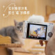 Sony (Sony) [bis 24 Perioden zinsfrei] ZV-E10 ZV-E10L MICRO Single Digitalkamera Wolg Video Beauty Camera ZV-E10L 16-50 Schwarzes Original Ungeöffnetes Maschinenpaket 5 Live-Paket + 699 Batteriegeschenkepaket