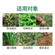 Guoguang Dwarf Show Package, Lawn, Hedge, Flowers, Sweet Potato, Peanut, Corn, Growth Regulator for Controlling Leggy and Stout Plants