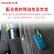 闪迪（SanDisk） Type-C接口NVMe高速SSD移动固态硬盘E61存储USB3.2Gen2 松柏青 高速读取1050MB/S 至尊极速卓越版1TB（送收纳包）