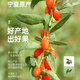 Ning'anbao ningxia Wolfberry Authentic, специальная качества Wolfberry Convined, подарки от старейшин, Ningxia Wolfberry 250g*1 банка