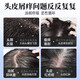 南京同仁堂二硫化硒洗发水去屑止痒控油持久蓬松洗头露脂溢性毛躁男女士专用