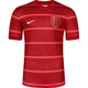 Nike Tianlang Football Nike 25th season Chinese Super League Chengdu Rongcheng home jersey short-sleeved football uniform HM6166-687 The picture is for printing only, no reason for return and exchange S