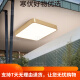 CLCEY全铜户外吸顶灯别墅大门口门前灯室外过道阳台灯防蚊虫庭 X3895-4 X3895-400/圆形/三色可调