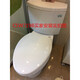 Toto Original SW784B CSW718B CSW728B SW743B CSW719B SW744B Коня Оригинал TotoSW784BCSW718BCSW