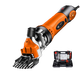 Chuangyi Electric Wool Ciscaillers Electric Ciseaux Raser la laine FADER ELECTRIQUE Large Ciscons cisaillement 3880AW + 9 SPILT BLADE X2