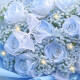 Huawang Flower Express Blumengeschenk 11 rote Rose weiße Blumensträuße, um meiner Freundin Geburtstagsgeschenk Lesbian City Lieferung am Tag [Star Love] 11 Broken Ice Blue Dy679 zu geben