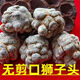 Panax NotoginSeng, authentischer Yunnan Wenshan Chun Panax Notoginseng, wild chinesischer Kräutermedizin Tianqi, Spezialgrad Slip-tall-tall-verstreute verstreute verstreute verstreute verstreute verstreute verstreute, verstreute verstreute verstreute verstreute verstreute verstreute verstreute verstreute verstreute verstreute verstreute verstreute verstreute verstreute verstreute verstreute verstreute verstreute verstreute verstreute verstreute verstreute verstreuten verstreuten verstreuten verstreuten verstreuten verstreuten verstreuten verstreuten verstreuten verstreuten verstreuten verstreuten verstreuten verstreuten verstreuten verstreuten verstreuten verleum