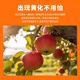 Qiusi yellowing Yishaqing citrus fruit tree dragon disease special medicine leaves yellowing and turning green to supplement nutrition and strengthen the tree vigor 500g*2 bags